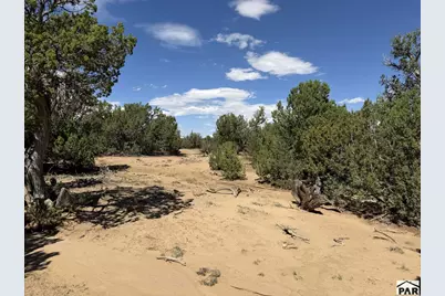 Lt 81A &amp; 101 Twin Lakes Ranches, Walsenburg, CO 81089 - Photo 20