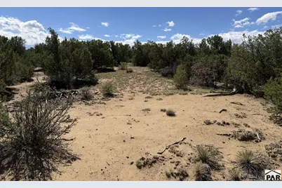 Lt 81A &amp; 101 Twin Lakes Ranches, Walsenburg, CO 81089 - Photo 18