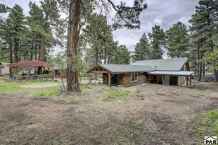 10689 Charles Ln, Rye, CO 81069 - Photo 28