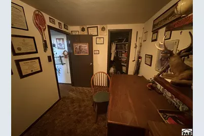 1325 N Elizabeth St, Pueblo, CO 81003 - Photo 20