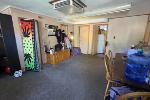 1325 N Elizabeth St, Pueblo, CO 81003 - Photo 42