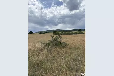 Lot 133 Ghost River Ranch, Rye, CO 81069 - Photo 1