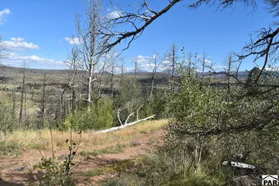 000 Soubry Pl, Fort Garland, CO 81133 - Photo 8