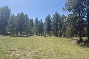 1183 Music Mountain Dr, Westcliffe, CO 81252 - Photo 40