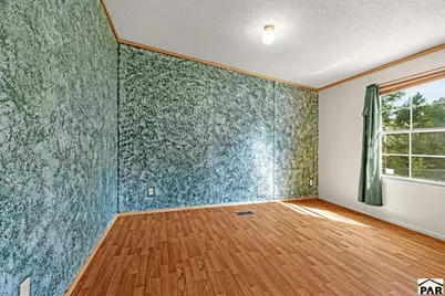 22 Silver Trail, Florissant, CO 80816 - Photo 20