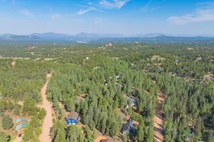 22 Silver Trail, Florissant, CO 80816 - Photo 26