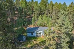 22 Silver Trail, Florissant, CO 80816 - Photo 22