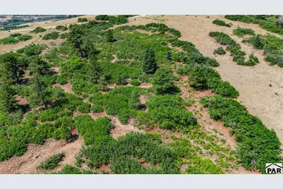 Lot 77 Tres Valles West, La Veta, CO 81055 - Photo 38
