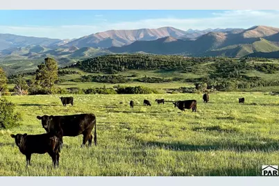 Lot 77 Tres Valles West, La Veta, CO 81055 - Photo 28