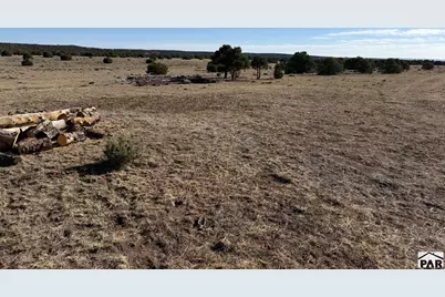58 Acres County Rd 510, Walsenburg, CO 81089 - Photo 16