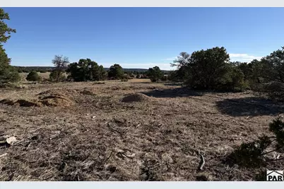 58 Acres County Rd 510, Walsenburg, CO 81089 - Photo 32