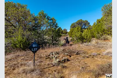 Tbd(Multi) Black Diamond Park, Walsenburg, CO 81089 - Photo 24