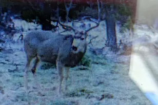 2805 County Rd 634, Gardner, CO 81040 - Photo 10