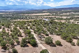 2805 County Rd 634, Gardner, CO 81040 - Photo 48