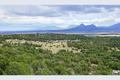 2805 County Road 634, Gardner, CO 81040 - Photo 44