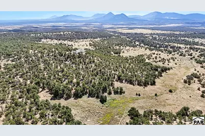 2805 County Road 634, Gardner, CO 81040 - Photo 38