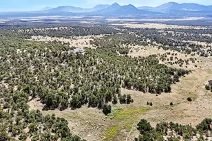 2805 County Rd 634, Gardner, CO 81040 - Photo 38