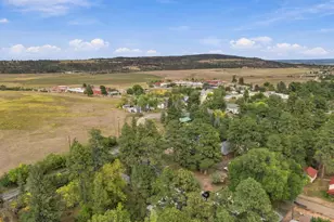 6037 Columbine St, Rye, CO 81069 - Photo 88