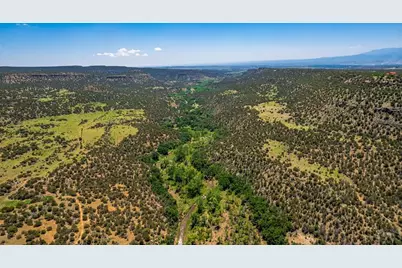 Tbd Highway 115, Penrose, CO 81240 - Photo 20