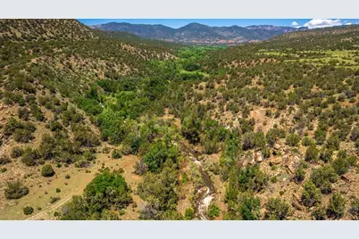 Tbd Highway 115, Penrose, CO 81240 - Photo 14