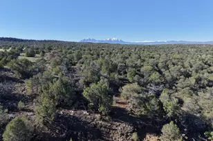 Tbd Los Vaqueros Circle, Walsenburg, CO 81089 - Photo 1