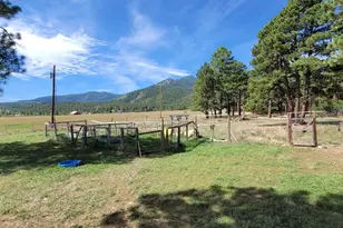 8152 Pine Dr, Rye, CO 81069 - Photo 18