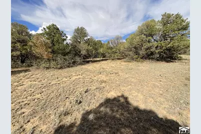 Lot 70 Silver Spurs Ranch, Walsenburg, CO 81089 - Photo 22