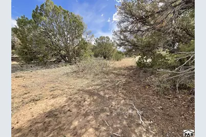 Lot 70 Silver Spurs Ranch, Walsenburg, CO 81089 - Photo 18