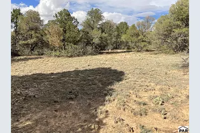 Lot 70 Silver Spurs Ranch, Walsenburg, CO 81089 - Photo 20
