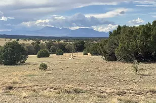Lot 70 Silver Spurs Ranch, Walsenburg, CO 81089 - Photo 1