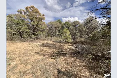 Lot 70 Silver Spurs Ranch, Walsenburg, CO 81089 - Photo 8