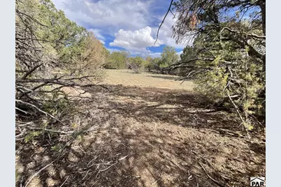 Lot 70 Silver Spurs Ranch, Walsenburg, CO 81089 - Photo 16