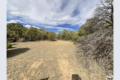 Lot 70 Silver Spurs Ranch, Walsenburg, CO 81089 - Photo 6
