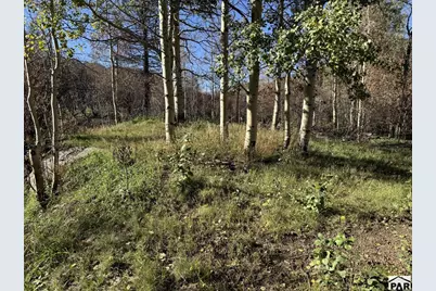 349 Columbine Cir, Rye, CO 81069 - Photo 26