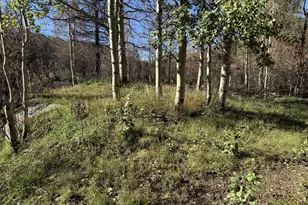349 Columbine Cir, Rye, CO 81069 - Photo 26