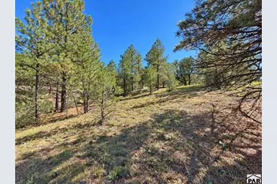 103 Cheyenne Ct, Cotopaxi, CO 81223 - Photo 8