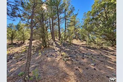 103 Cheyenne Ct, Cotopaxi, CO 81223 - Photo 10