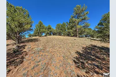 103 Cheyenne Ct, Cotopaxi, CO 81223 - Photo 6