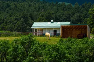 9685 Short Cut Rd, Rye, CO 81069 - Photo 8