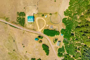 9685 Short Cut Rd, Rye, CO 81069 - Photo 4