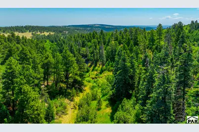 9685 Short Cut Rd, Rye, CO 81069 - Photo 24