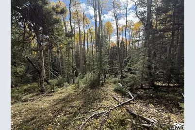 3417 No Site Address, Fort Garland, CO 81133 - Photo 16