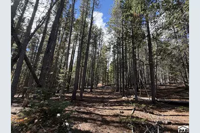 3417 No Site Address, Fort Garland, CO 81133 - Photo 4