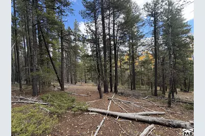 3417 No Site Address, Fort Garland, CO 81133 - Photo 10