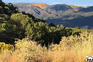 971 Co Rd 541, Gardner, CO 81040 - Photo 22