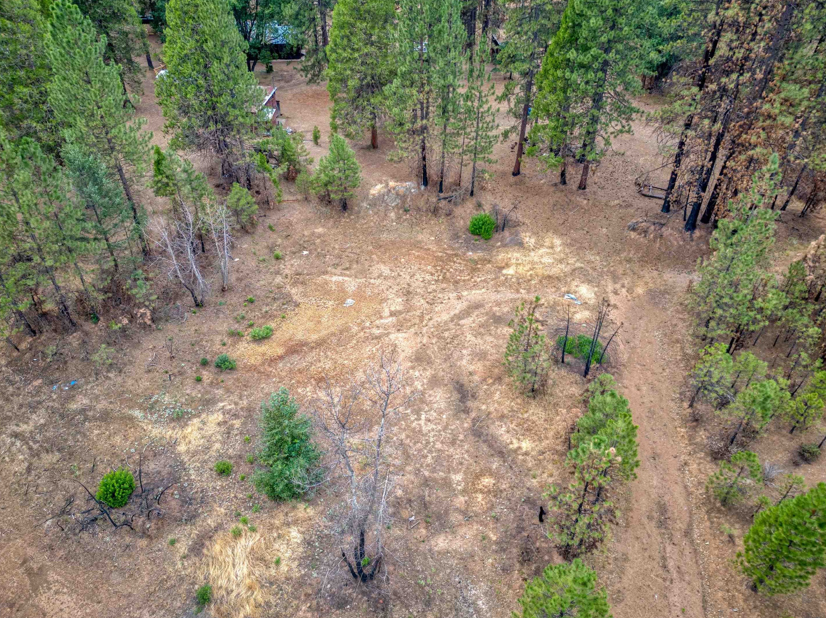 229 Pecks Valley Rd, Almanor CA  95947-9739 exterior