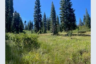 000 Big Creek Road, Bucks Lake, CA 95971 - Photo 1