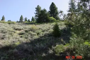 1692 Valley View Dr, Portola, CA 96122 - Photo 1