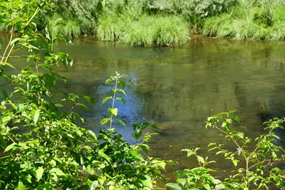 187 Riverview Lane, Twain, CA 95984 - Photo 20