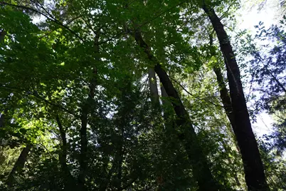 187 Riverview Lane, Twain, CA 95984 - Photo 16